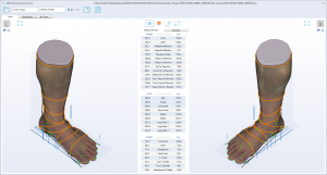 3D foot scanner