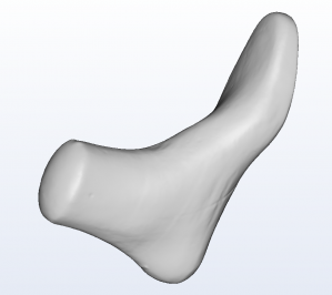3D foot scanner