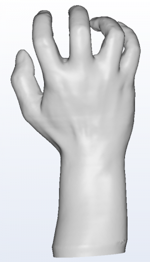 3D foot scanner