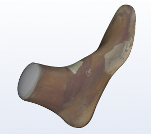 3D foot scanner