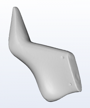 3D foot scanner