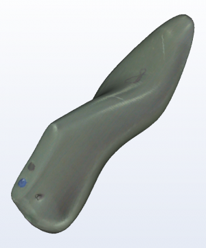 3D foot scanner