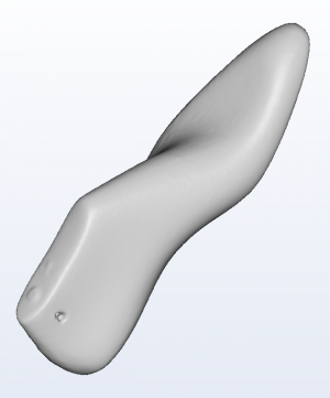 3D foot scanner